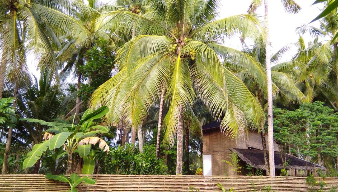 卢纳将军城Butterfly House, Libertad, General Luna, Siargao, Filipinas别墅 外观 照片